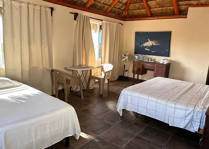Palmas Apartamento